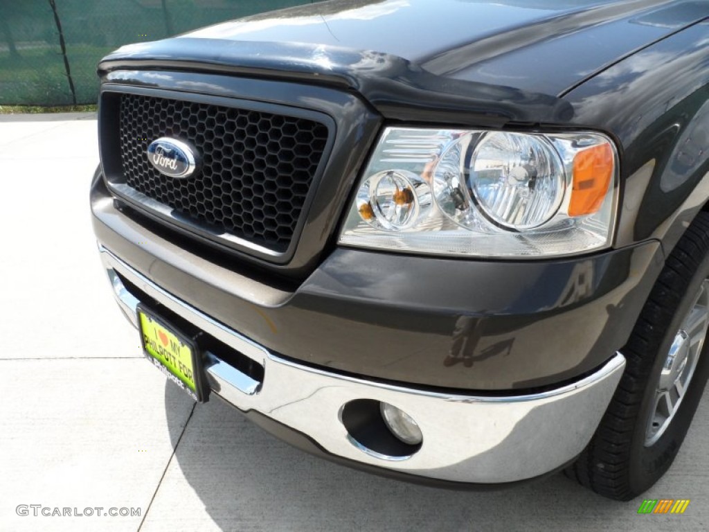 2006 F150 XLT SuperCrew - Dark Stone Metallic / Medium/Dark Flint photo #11