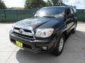 2007 Shadow Mica Toyota 4Runner SR5  photo #7