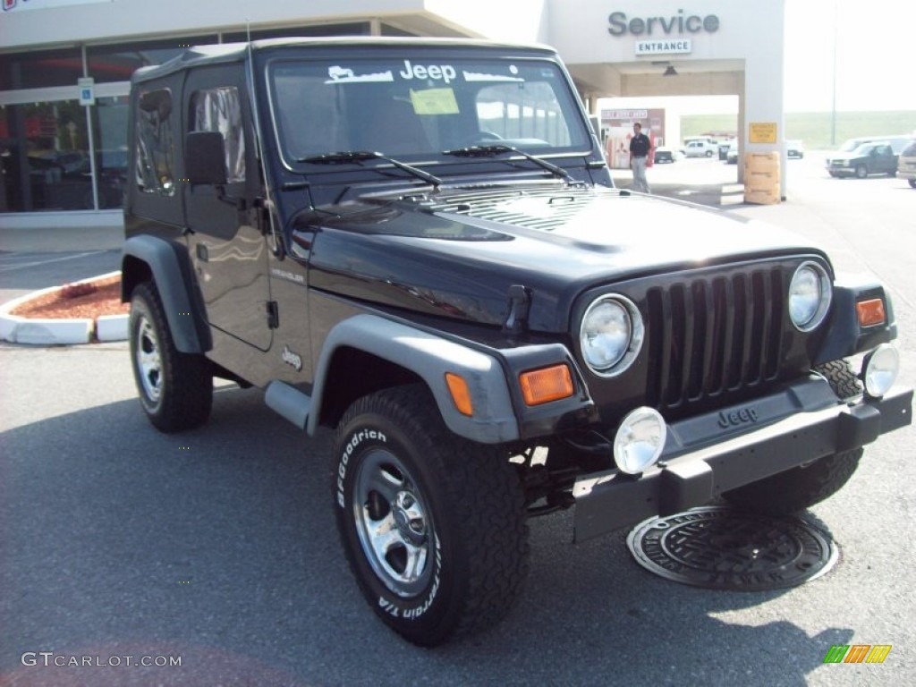 2002 Wrangler X 4x4 - Black / Camel Beige photo #7