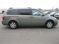 2010 Titanium Silver Kia Sedona LX  photo #16