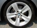 2008 Space Grey Metallic BMW 3 Series 335i Coupe  photo #29