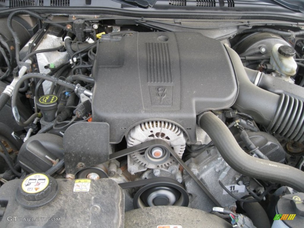 2004 Ford Crown Victoria LX 4.6 Liter SOHC 16-Valve V8 Engine Photo #51005710