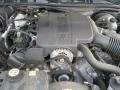  2004 Crown Victoria LX 4.6 Liter SOHC 16-Valve V8 Engine