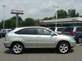 Millenium Silver Metallic - RX 330 AWD Photo No. 1