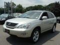 Millenium Silver Metallic - RX 330 AWD Photo No. 3