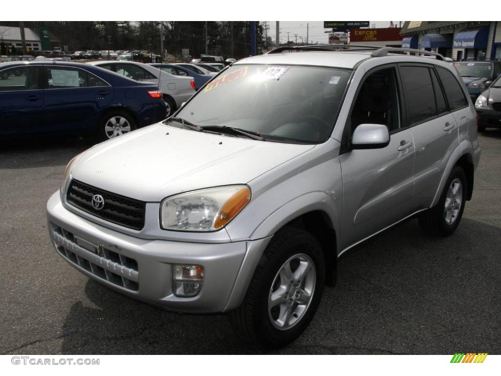 2002 RAV4 4WD - Titanium Metallic / Gray photo #1