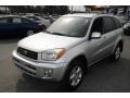 Titanium Metallic - RAV4 4WD Photo No. 1