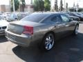 Dark Titanium Metallic - Charger SE Photo No. 8