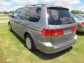 Canyon Stone Silver Metallic - Odyssey LX Photo No. 8