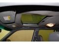 Silver Birch Metallic - Explorer Sport Trac  Photo No. 12