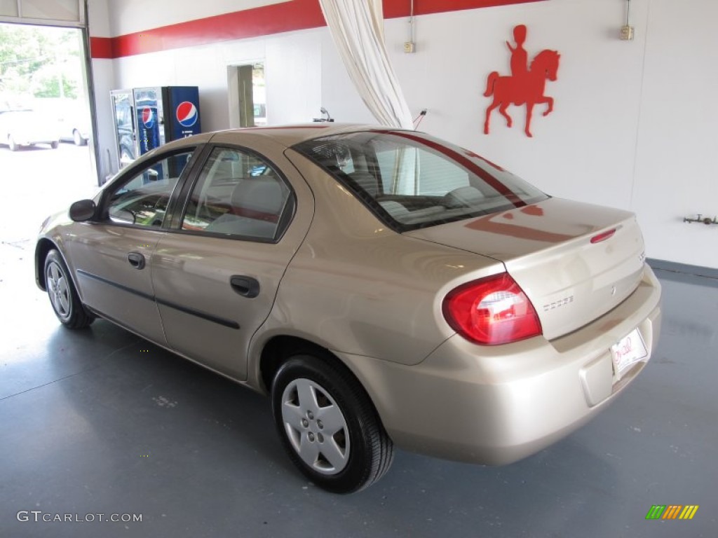 2003 Neon SE - Light Almond Pearl Metallic / Taupe photo #2