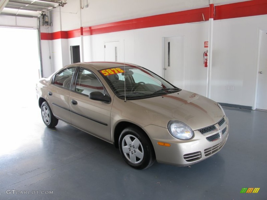 Light Almond Pearl Metallic 2003 Dodge Neon SE Exterior Photo #51024670