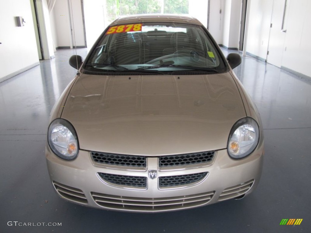 2003 Neon SE - Light Almond Pearl Metallic / Taupe photo #6