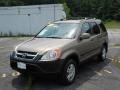 Mojave Mist Metallic - CR-V EX 4WD Photo No. 19