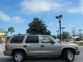 2003 Light Khaki Metallic Dodge Durango SLT  photo #6