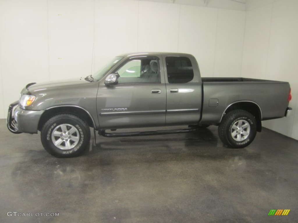 2005 Tundra SR5 Access Cab 4x4 - Phantom Gray Pearl / Light Charcoal photo #3