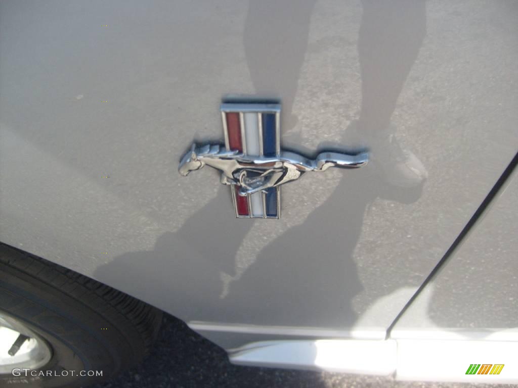 2003 Mustang V6 Coupe - Silver Metallic / Medium Graphite photo #12