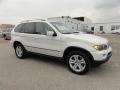 Alpine White - X5 4.4i Photo No. 6