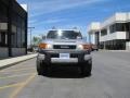 Titanium Metallic - FJ Cruiser 4WD Photo No. 27