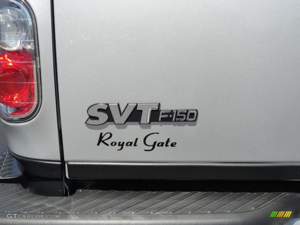 2002 F150 SVT Lightning - Silver Metallic / SVT Medium Graphite photo #5