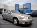 Pewter - L Series L200 Sedan Photo No. 1