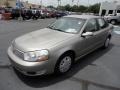 Pewter - L Series L200 Sedan Photo No. 3
