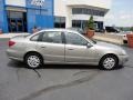 Pewter - L Series L200 Sedan Photo No. 8