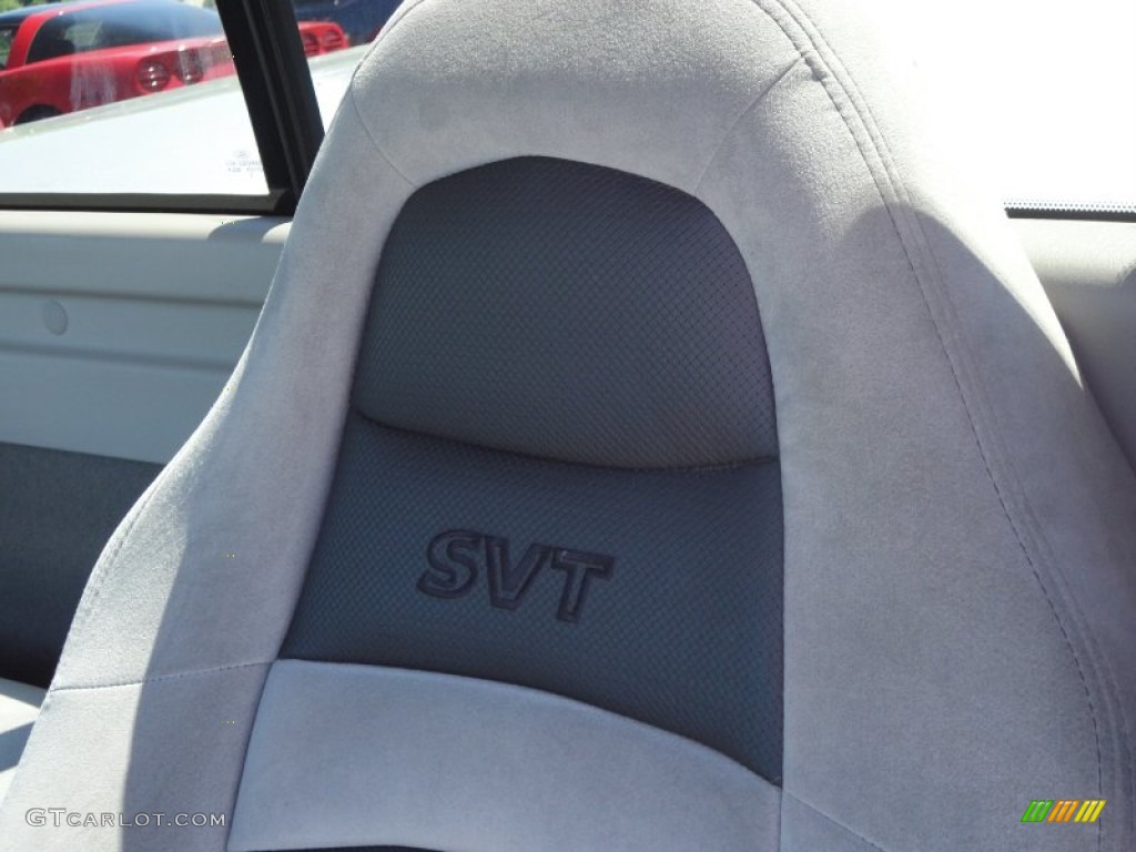 2002 F150 SVT Lightning - Silver Metallic / SVT Medium Graphite photo #19