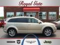 2009 Light Sandstone Metallic Dodge Journey R/T  photo #1