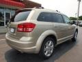 2009 Light Sandstone Metallic Dodge Journey R/T  photo #3