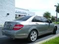Palladium Silver Metallic - C 300 Luxury Photo No. 6