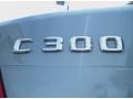Palladium Silver Metallic - C 300 Luxury Photo No. 9