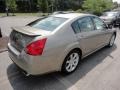 2008 Pebble Beach Metallic Nissan Maxima 3.5 SE  photo #5