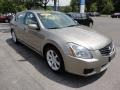 Pebble Beach Metallic - Maxima 3.5 SE Photo No. 7
