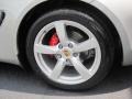 2008 Porsche Cayman S Wheel and Tire Photo