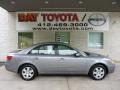 Steel Gray - Sonata GLS Photo No. 1