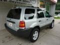 2004 Satin Silver Metallic Ford Escape XLT V6 4WD  photo #2