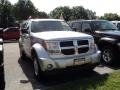 Bright Silver Metallic - Nitro SXT 4x4 Photo No. 2