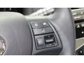 2010 Tungsten Silver Pearl Lexus RX 450h AWD Hybrid  photo #32
