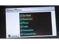 2010 Tungsten Silver Pearl Lexus RX 450h AWD Hybrid  photo #57