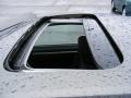 Galaxy Gray Metallic - Civic Si Coupe Photo No. 24