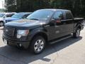 2010 Tuxedo Black Ford F150 FX2 SuperCrew  photo #1