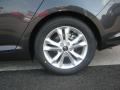 Platinum Graphite - Optima EX Photo No. 23