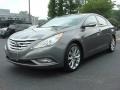 Willow Gray - Sonata GLS Photo No. 1