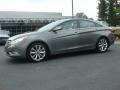 Willow Gray - Sonata GLS Photo No. 2