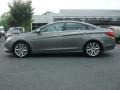 Willow Gray - Sonata GLS Photo No. 3