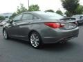 Willow Gray - Sonata GLS Photo No. 4