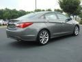Willow Gray - Sonata GLS Photo No. 5