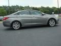 Willow Gray - Sonata GLS Photo No. 6