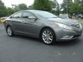 Willow Gray - Sonata GLS Photo No. 7